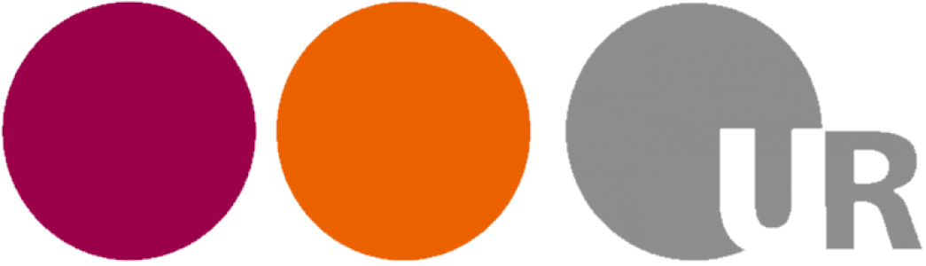 Schwierige Orte. Geschichtskultur und öffentlicher Raum